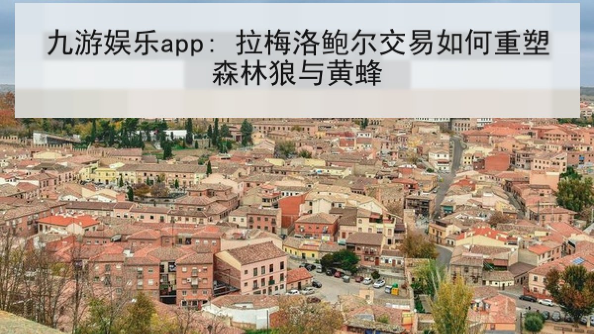 九游娱乐app: 拉梅洛鲍尔交易如何重塑森林狼与黄蜂