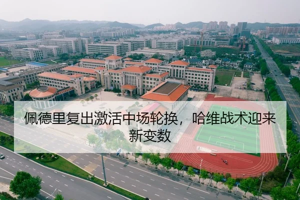 佩德里复出激活中场轮换，哈维战术迎来新变数
