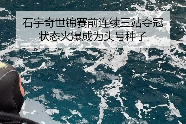 石宇奇世锦赛前连续三站夺冠 状态火爆成为头号种子